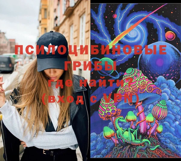 тгк Елизово