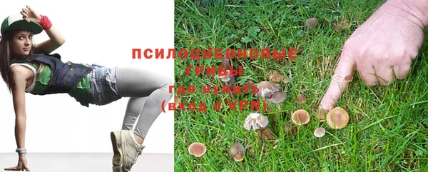 тгк Елизово